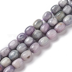 Natural Kunzite Beads Strands, Drum, 12~14x9~11x9~11mm, Hole: 1mm, about 30~32pcs/strand, 15.35''~15.75''(39~40cm)