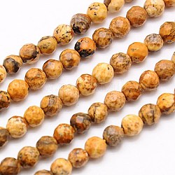 Natural Picture Jasper Beads Strands, Faceted, Round, 4mm, Hole: 1mm, about 90pcs/strand, 15.35inch