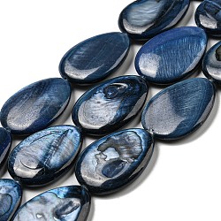 Chapelets de perles de coquille d'eau douce naturelle teinte, larme, bleu acier, 23x17~18x4~4.5mm, Trou: 0.8mm, Environ 17 pcs/chapelet, 15.75 pouce (40 cm)