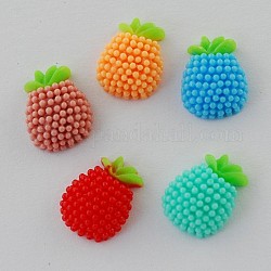 Mixed Resin Fruit Cabochons, 13x10x5mm
