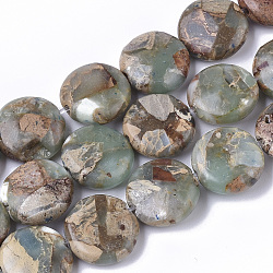 Fili di perline naturali aqua jasper, rotondo e piatto, 14x5~6mm, Foro: 1.2 mm, circa 30~32pcs/filo, 15.94 pollice ~ 16.92 pollici (40.5~43 cm)