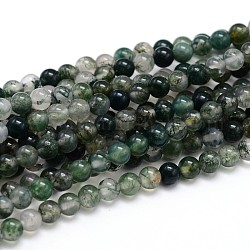 De piedras preciosas naturales hebras de perlas reronda, ágata de musgo, 8mm, agujero: 1 mm, aproximamente 46~48 pcs / cadena, 15 pulgada
