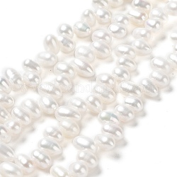 Hebras de perlas de agua dulce cultivadas naturales, grado 6a+, arroz, color de concha, 7~8x4~5mm, agujero: 0.5 mm, aproximamente 70 pcs / cadena, 13.66'' (34.7 cm)