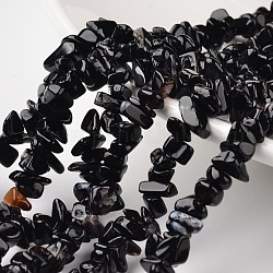Nuggets Natural Black Agate Beads Strands, 4~6x8~12x2~4mm, Hole: 1mm, about 34.6 inch