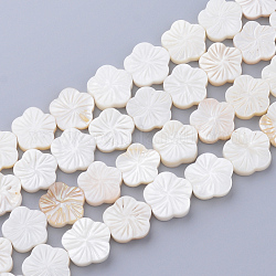 Natural Freshwater Shell Bead Strands, Flower, Creamy White, 12~13x12~13x2~3.5mm, Hole: 1mm, about 29~30pcs/strand, 14.37 inch