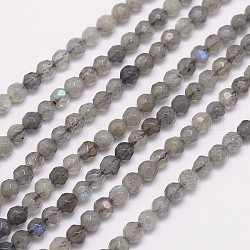 Facetas hebras de perlas redondas labradorita natural, 4mm, agujero: 0.8 mm, aproximamente 100 pcs / cadena, 15.5 pulgada
