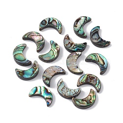 Perles de coquille d'ormeau naturel/coquille de paua, lune, colorées, 15.5x10.5x3mm, Trou: 0.9mm