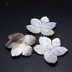 Perles de fleur coquille noire naturelle, 39~45x49~56x3mm, Trou: 1~2mm