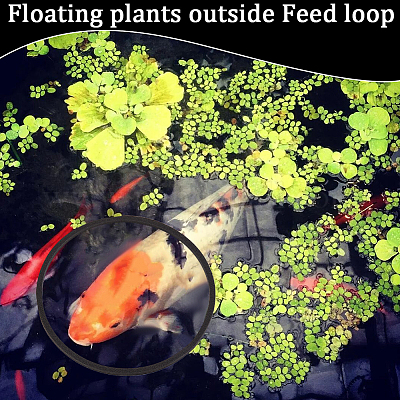 2 комплект колец для кормления рыб из вспененного eva AJEW-CN0002-52A-1