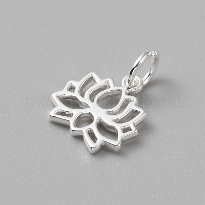 Charms in ottone&nbsp;FIND-WH0159-63S-05-1