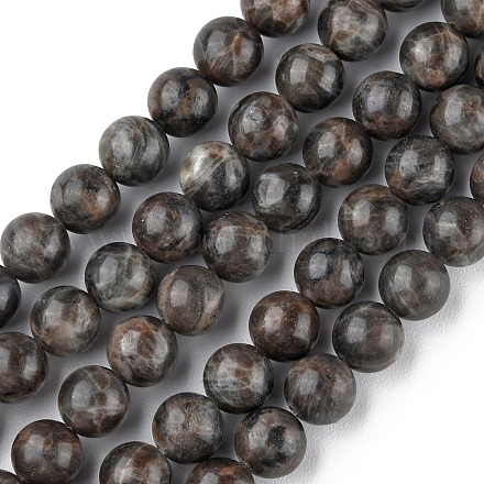 Natural Labradorite Beads Strands G-G0003-C03-6mm-1
