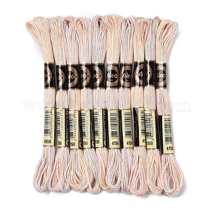 10 Skeins 6-Ply Polyester Embroidery Floss OCOR-K006-A23-1