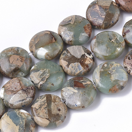 Chapelets de perles en jaspe aqua terra naturel G-S366-014-1