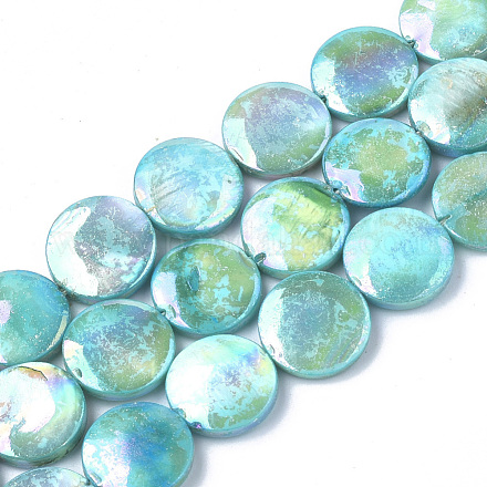 Natural Freshwater Shell Beads Strands X-SHEL-S274-52A-1
