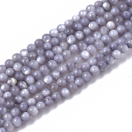 Eau douce naturelle de coquillage perles brins BSHE-T009-01A-1