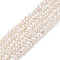 Electroplated Shell Pearl Beads Strands, Nuggets, Antique White, 4~6x6~10x4~6mm, Hole: 1mm, about 88pcs/strand, 16.10 inch(40.9cm)