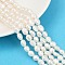 Natural Cultured Freshwater Pearl Beads Strands, Two Sides Polished, Grade 4A, Seashell Color, 7~8mm, Hole: 0.6mm, about 36~37pcs/strand, 13.54~13.82''(34.4~35.1cm)