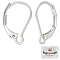 80Pcs 304 Stainless Steel Leverback Earring Findings, Stainless Steel Color, 16.5x10x2mm, Pin: 1mm