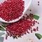 MIYUKI Delica Beads, Cylinder, Japanese Seed Beads, 11/0, (DB0162) Opaque Red AB, 1.3x1.6mm, Hole: 0.8mm, about 20000pcs/bag, 100g/bag