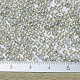 Perles rocailles miyuki rondes X-SEED-G007-RR3192-4