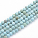 Synthetic Turquoise Beads Strands X-G-Q953-03-8mm-1