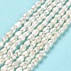 Natural Cultured Freshwater Pearl Beads Strands PEAR-E016-103-2