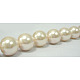 Shell Pearl Beads Strands SP10MM205-2