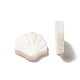 Perles de coquillages naturels d'eau douce BSHE-E026-06-2