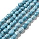 Natural Gemstone Beads Strands G-F730-05A-1