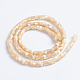 Chapelets de perles de coquille de trochid / trochus coquille SSHEL-L016-13-3