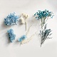 Paquete de material de flor seca DIY-WH0257-04-3