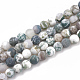 Chapelets de perles en agate d'arbre naturelle G-T106-038-1