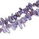 Natural Amethyst Beads Strands G-S312-07-1
