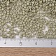Perline miyuki delica X-SEED-J020-DB2363-4