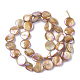Freshwater Shell Beads Strands SHEL-S274-52C-2