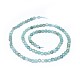Natural Apatite Beads Strands G-I249-A09-2