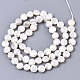 Eau douce naturelle de coquillage perles brins SHEL-N026-50B-01-2