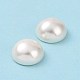 Perles de coquille semi-percée X-BSHE-G011-01-12mm-6