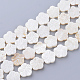 Natural Freshwater Shell Bead Strands SHEL-T001-A01-1