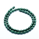 Chapelets de perles en malachite naturelle G-D0011-09B-2