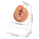 OLYCRAFT Right Ear Displays Model Silicone Ear Model Rubber Ear Silicone Flexible Ear Model Ear Displays Model for Teaching Tools Jewelry Display Earrings AJEW-WH0270-14A-2