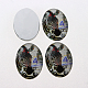 Cabuchones ovales foto de la cebra de vidrio X-GGLA-N003-8x10-F48-2