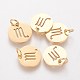 304 Stainless Steel Charms STAS-Q201-T445-8G-1