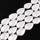 Electroplate Natural Freshwater Shell Beads Strands SHEL-R049-026A-1
