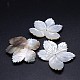 Perles de fleur coquille noire naturelle SSHEL-P005-02-1