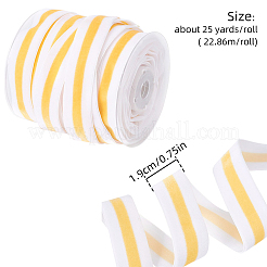 Полиэфирная лента&nbsp;SRIB-F008-A10-19mm