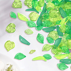 600pcs 10 Arten transparente Acrylanhänger&nbsp;OACR-PA0001-48