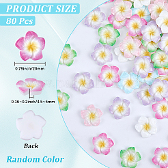 Cabochons aus undurchsichtigem Harz mit Plumeria-Blüten&nbsp;CRES-BM0001-01A
