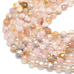 Натуральные вишневые агатовые бусины&nbsp;G-C116-A148-01