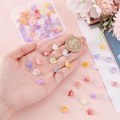 100 шт. 10-цветные прозрачные двухцветные стеклянные бусины&nbsp;GLAA-ME0001-02